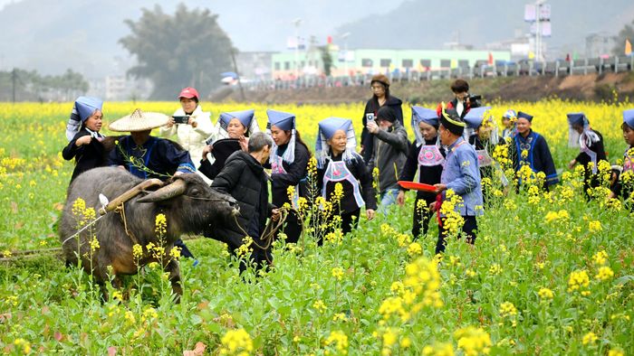 蚂拐节照片 (1).jpg